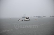 Desarrolla provincia vietnamita astilleros para la pesca en alta mar