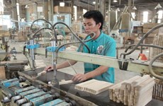 Abren nueva fábrica de productos madereros en provincia vietnamita