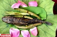 Go Thap, destino con infinitos pantanos de loto y sabores de gastronomía rural 