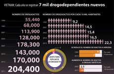 [Infografía] Registran cada año siete mil drogodependientes nuevos en Vietnam 