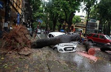 Exhortan en Vietnam a mejorar pronóstico de tormentas