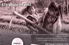 [Infografia] El trabajo infantil en Vietnam