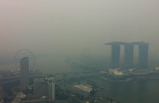 Malasia llama a países de ASEAN a unir esfuerzos contra desastre neblina