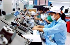 Prevén mayor demanda de trabajadores en algunos sectores en Vietnam