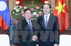 Presidente vietnamita reafirma prioridad de relaciones con Laos