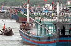 Vicepremier orienta labor de prevención contra tifón en Quang Ninh