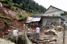 Al menos siete muertos por tifón Dianmu en Vietnam