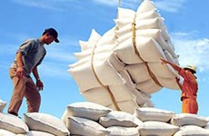 Vietnam busca aumentar exportaciones de arroz de alta calidad