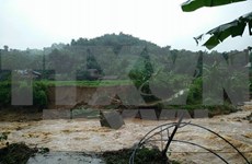 Tifón Dianmu dejó decenas de muertos y heridos en Vietnam