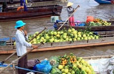 Vietnam aboga por optimizar recursos para el desarrollo del delta de Mekong