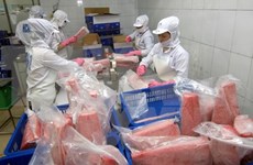 Reducirán impuesto de productos vietnamitas a UEE debido a TLC