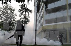 Singapur lanza campaña de eliminación de mosquitos para prevenir Zika