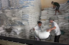 Vietnam y Tailandia ganan subasta para exportar arroz a Filipinas