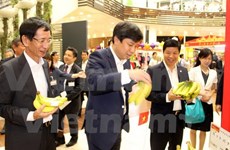 Grupo Aeon ayuda a empresas vietnamitas a acceder al mercado japonés