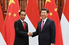 Indonesia y China aspiran fomentar cooperación económica