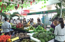 Importaciones vietnamitas de frutas y verduras en ocho meses aumentan 37 por ciento