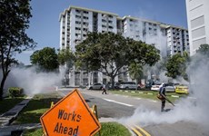 Disminuyen casos nuevos de Zika en Singapur