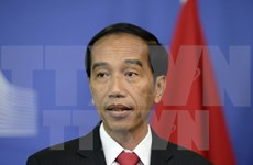 Presidente de Indonesia destaca la importancia de relaciones ASEAN-Japón