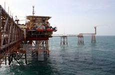 Vietsovpetro instala obra muerta de plataforma petrolífera en el mar