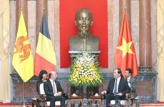 Destacan ayudas no reembolsables de región belga a Vietnam