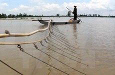 Provincias deltaicas de Vietnam plantean medidas contra el cambio climático