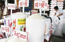 Camboya se esfuerza para estabilizar el precio del arroz