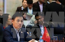 Publican Libro Azul sobre diplomacia de Vietnam 2015
