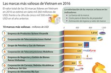 [Infografia] Las marcas más valiosas de Vietnam en 2016