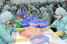 EE.UU. permite a 60 empresas de Vietnam exportar bagres a su país