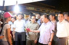 Premier exige más esfuerzos para asegurar inocuidad de alimentos en Hanoi