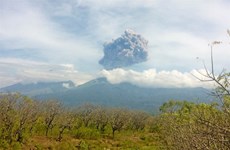 Indonesia evacúa más de mil turistas por erupción volcánica