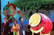 Efectúan en Vietnam Festival de Uvas y Vinos