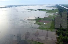 Construirán centro de datos ambientales en Delta de Mekong
