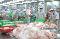 Exportadores de pescados de Vietnam enfrentan dificultades en lograr meta anual