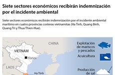 [Infografía] Provincias de Vietnam recibirán indemnización por incidente ambiental