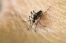 Filipinas confirma dos nuevos casos de Zika