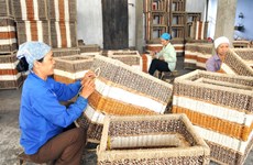 Hanoi invierte en desarrollo de zonas rurales