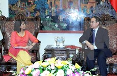 Recibe dirigente vietnamita a representante residente de ONU