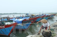 Cuestión de incidente ambiental en Centro de Vietnam se resuelve activamente