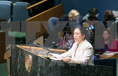 Vietnam ratifica compromiso de garantizar y promover derechos humanos