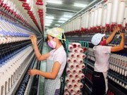 Sector textil de ASEAN busca fortalecer cadena de suministro