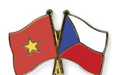 Vietnam y República Checa efectúan consulta política a nivel de viceministro