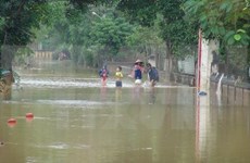 Vietnamitas en el extranjero ayudan a compatriotas afectados por inundaciones