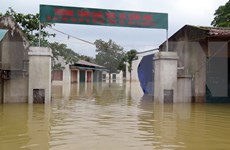 Respaldan vietnamitas en extranjero a compatriotas afectados por inundaciones