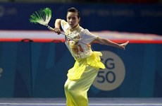 Vietnam gana medallas en la Copa Mundial de wushu