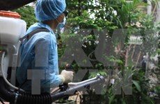 Ciudad Ho Chi Minh refuerza medidas preventivas contra el Zika