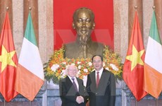 Vietnam e Irlanda acuerdan ampliar nexos de cooperación