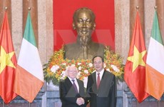 Visita del presidente irlandés insufla nuevo aliento a cooperación con Vietnam