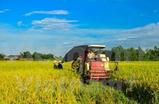 TLC Vietnam-UE: gran oportunidad para productos agrícolas vietnamitas