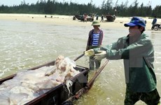 Vietnam busca medidas para enfrentar degradación de fuentes acuíferas